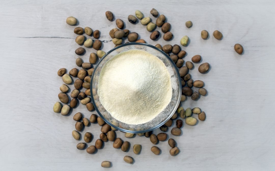 Allergen-Free and Protein-Rich: Highly functional legume flour Concentrates from Müller’s Mühle