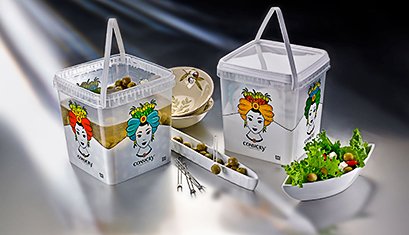 Berry’s Solution Helps Shape Success for Kata Foods
