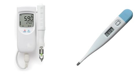Understanding The Importance Of Monitoring Ph Levels During Food