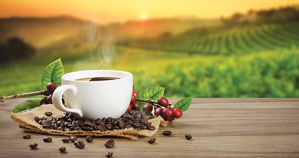 From Brew to Bite; Wake Up and Smell New Coffee Flavours