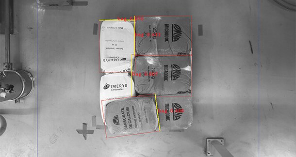 Automatic Depalletizing and Emptying of Bagged Raw Materials: Robot-based and AI-Supported