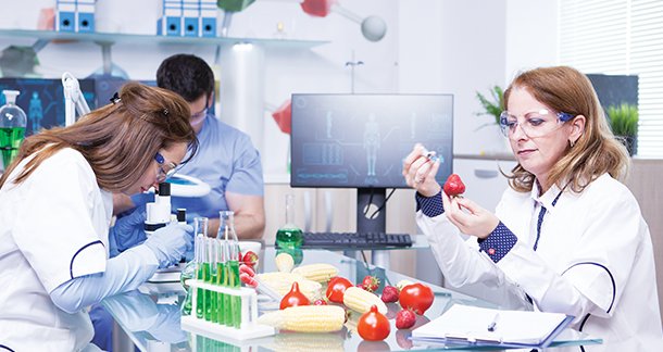 Developing Food Safety Culture:  A Different Model of Implementation