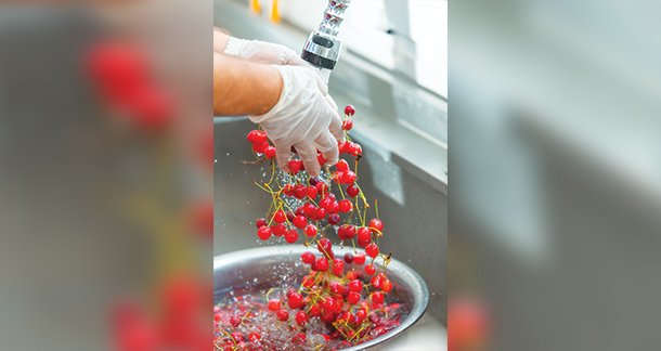 A2_Developing-Food-Safety-Culture