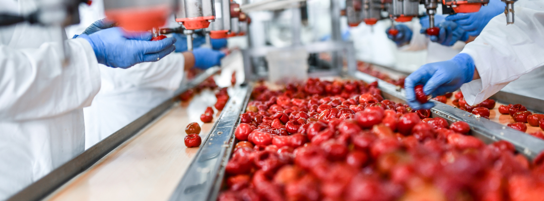 Insights into the Global Food Processing Industry: Trends and Innovations