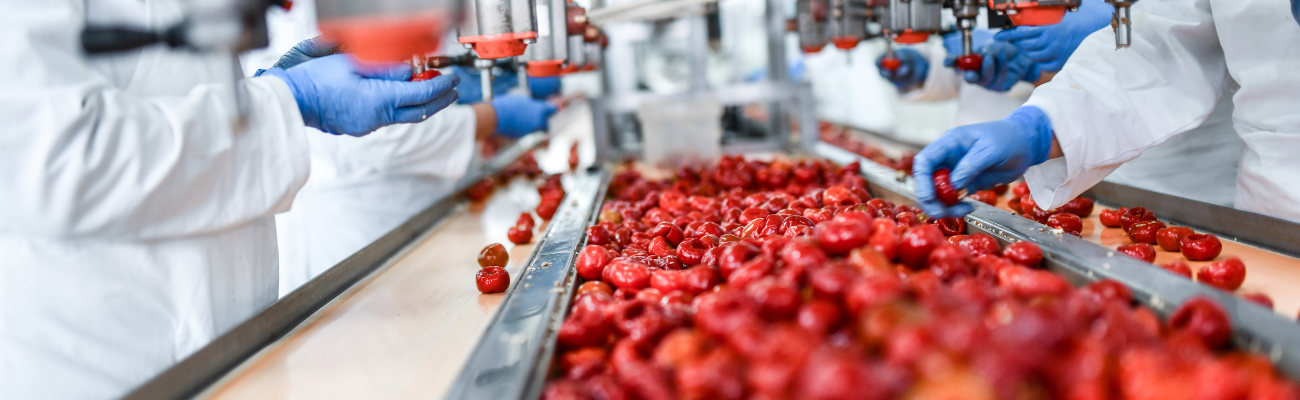 Global Food Processing Industry Trends and Innovations