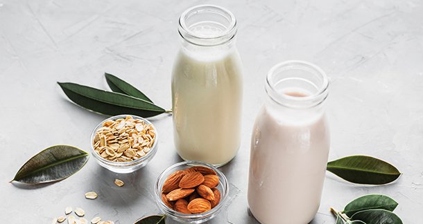 Reimagining Plant-Based Milk Beverages: Harnessing the Value of Faba Bean and Palatinose™