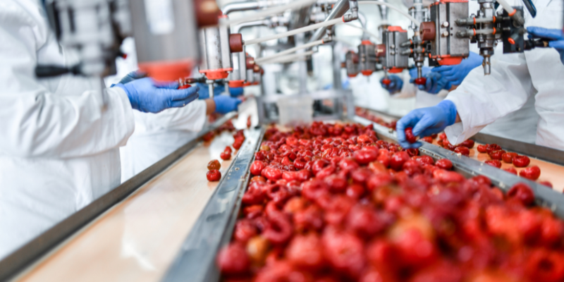 Critical challenges in food processing