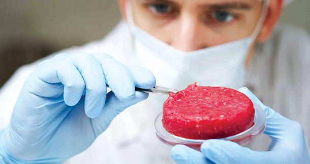 Ensuring Safety in the Era of Lab-Grown Meat: Mitigating Risks Across Production Processes