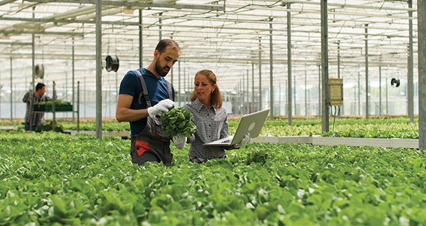 LLM for Food: Farm to Fork Article