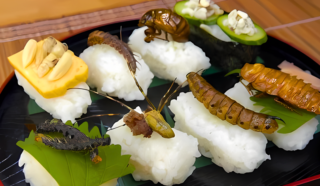 From Bugs to Burgers: Can Insect Protein Revolutionize Food Production?