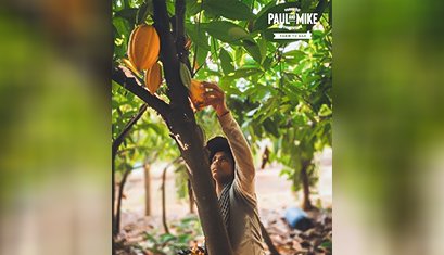 Paul And Mike: A Beacon of Stability Amidst Cocoa Crisis