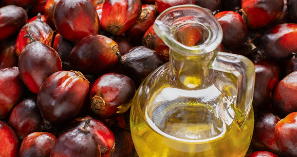 Enriching People’s Lives With More Sustainable Palm Oil Manufacturing