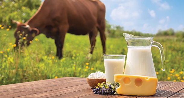 Backward Traceability: An All-time Challenge of Indian Dairy Industry