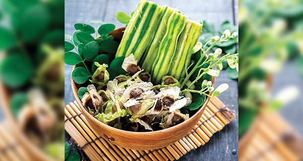 Moringa oleifera seed: a pathway to new innovative foods