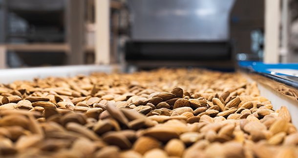 THE EUROPEAN ALMOND IS SUSTAINABLE FOOD