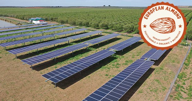 D4_Sustainable-EU-Almond