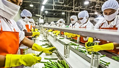 Government Initiatives Supporting India’s Food Processing Sector for Economic Growth