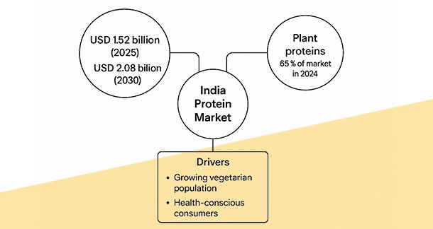 The Protein Market in India