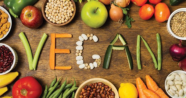 K2_Vegan-Nutrition-Business---Hub-for-Collaboration