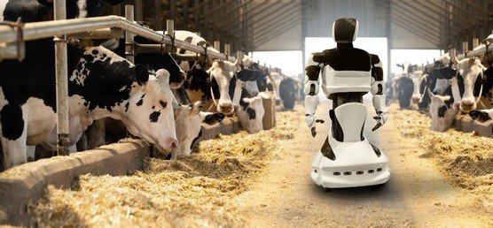“How Robots Are Helping on Dairy Farms”