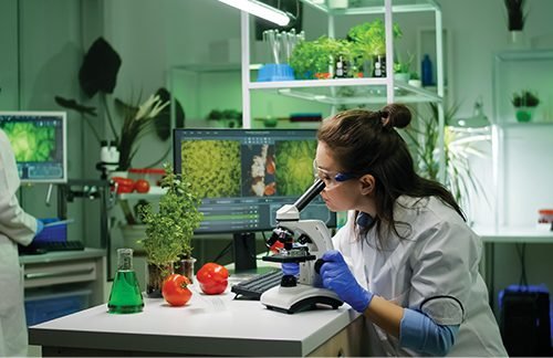 Application of CO2 in Food Industry