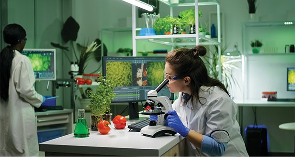 Application of CO2 in Food Industry