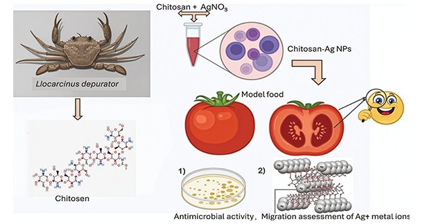 Silver Touch: Chitin-Based Packaging That Thinks Ahead