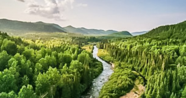 Tetra Pak refreshes nature framework, strengthening action on responsible sourcing and water resilience