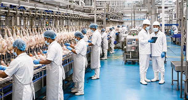 Food Safety Culture in Slaughterhouses and Poultry Units: Beyond Compliance toward Sustainable Food Safety