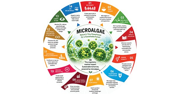 Bringing the blue-green revolution with microalgae