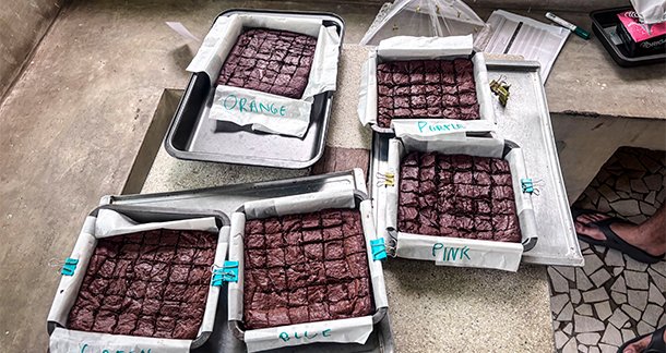 Upcycling Coffee Silverskin as a Functional Ingredient in Brownies
